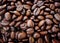 Roasted coffee beans seed background