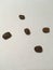 Roasted coffee beans on a white background. Minimalistic composition.