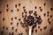 Roasted coffee beans on wooden spoon placed on wooden table