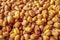 Roasted Corn Seed background - texture