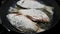 Roasted crucian carp. Cooking crucian in a pan