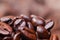 Roasted detailed tasty coffee beans with natural blurry background
