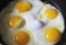 Roasted eggs on the black pan