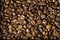 Roasted excellent coffee bean texture as background or backdrop