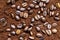 Roasted grains of arabica coffee on ground coffee close-up