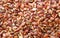 Roasted Kayu seeds or Irvingia malayana