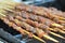 Roasted Lamb shashlik/lamb skewer/shish kebab/ on festival gourmet festival.