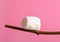 Roasted Marshmallow on Twig