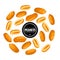 Roasted Peanut nut seed. Peanuts seamless pattern.