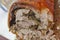 Roasted pork roll. BBQ pork roll baked with spices. Gourmet meat roll. Meat loaf with herbs. Stuffed roasted meat. Delicious pork