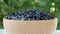 Roasted Sunflower Seeds Close-up Rotate in wooden bowl on plants background.