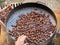 Roasting chestnuts outdoor in a pan . Tuscany, Italy