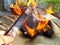 Roasting eggplant using iron tweezers on a traditional firewood stove. Uttarakhand India