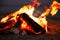 Roasting marshmallow over burning firewood on beach, closeup