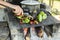 Roasting peppers and eggplant