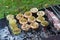 Roasting vegetables with cheese and spices on the grill. Baking mushrooms, eggplants and zucchini on charcoal