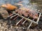 Roasts pork shish kebab and chicken shish kebab in nature. Roasting pork skewers on skewers and roasting chicken skewers on a gril
