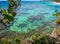 Roatan, Honduras blue ocean, reef, vegetation growing on rocks. Tropical exotic island, vacation, resort, sandy beach in the backg