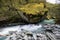 Rob Roy Glacier Track. Mt Aspiring National Park, New Zealand