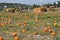 Roba Family Farms in North Abington Township in Pennsylvania