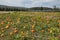 Roba Family Farms in North Abington Township in Pennsylvania