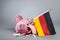 Robbed piggy bank with German flag