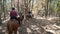 Robber`s Cave State Park stables, trail ride through the mountain forest