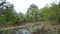 Robber`s Cave State Park, Wilburton, Oklahoma, Stream in the mountains