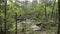 Robber`s Cave State Park, Wilburton, Oklahoma, Stream in the mountains