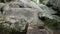 Robber`s Cave State Park, Wilburton, Oklahoma, Stream in the mountains