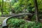 Robert H. Treman State Park: Gorge Trail