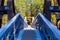 Robert Lowe Suspension Bridge, Miles Canyon, Yukon