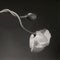 Robert Mapplethorpe Exhibition at Guggenheim Museum