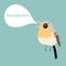 Robin bird with bubble for text