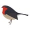 Robin bird icon Geometric cartoon flat Vector illustration Stylized animal isolated