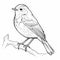 Robin Coloring Pages: Outline Art For Children\\\'s Coloring Book