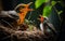 robin mother chirping with her cubs in their nest, green background and sunset, warm colors, bird and cubs, a mother\\\'s love