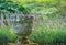 Robin perched on edge of garden urn England