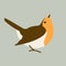 Robin red breast bird, vector illustration, flat style