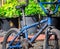 Robin sittin on an old rusty bicycle