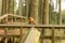 Robin sitting on a wooden bannister