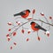 Robins on a rose hips branch