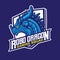 Robo Dragon E Sport Gaming Logo Design