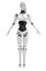 Robot android women