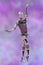 Robot ballet dancer, 3D illustration