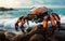 Robot crab on the seashore among the rocks