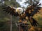 A robot eagle perched on a branch