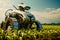 Robot farmers agriculture technology farm automatisation. Generative AI