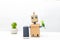 The robot holds a green plant and a solar battery in its hand. W