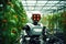 A Robot with intelligence take care of crops tomato in greenhouses